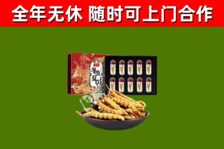 双鸭山回收冬虫夏草价格